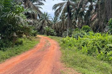 To Sale Kluang. Layang-Layang Agriculture Land