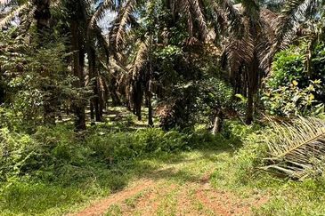 To Sale Kluang. Layang-Layang Agriculture Land