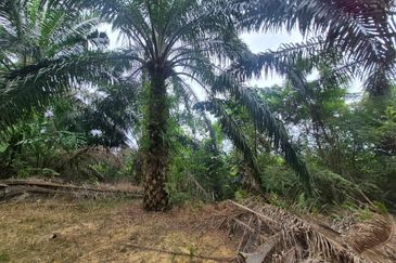 For Sale Agricultural Land, Kulai