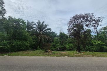 For Sale Agricultural Land, Kulai