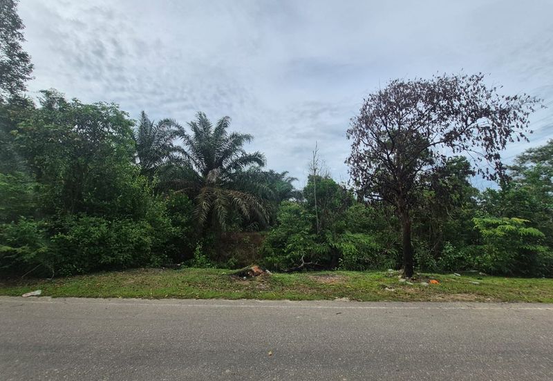 For Sale Agricultural Land, Kulai