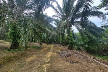 For Sale Agricultural Land, Kulai