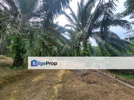 For Sale Agricultural Land, Kulai, Johor, Kulai
