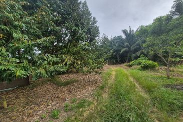 For Sale Agricultural Land, Kulai