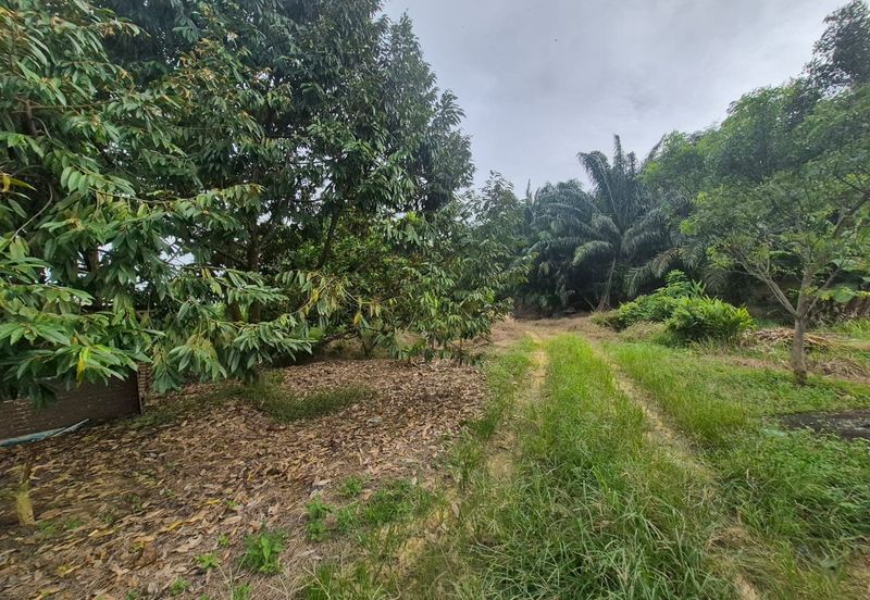 For Sale Agricultural Land, Kulai