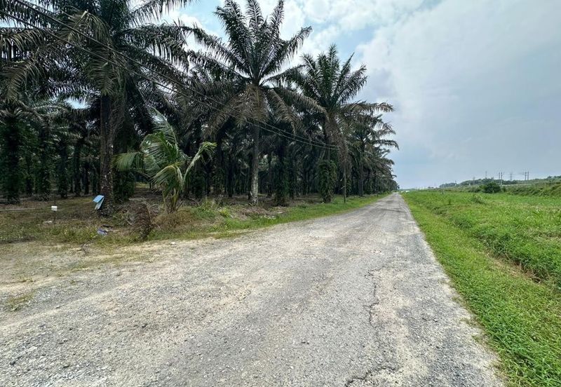 To Sale Kulai Sengkang, Agricultural Land