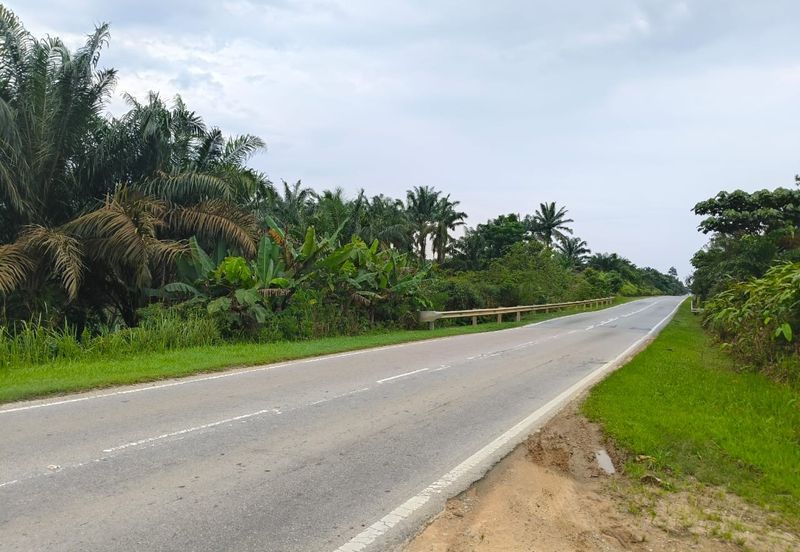 To Sale Sengkamg @ Agricultural land