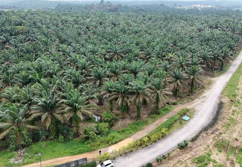 To Sale Sengkang, Agricultural land