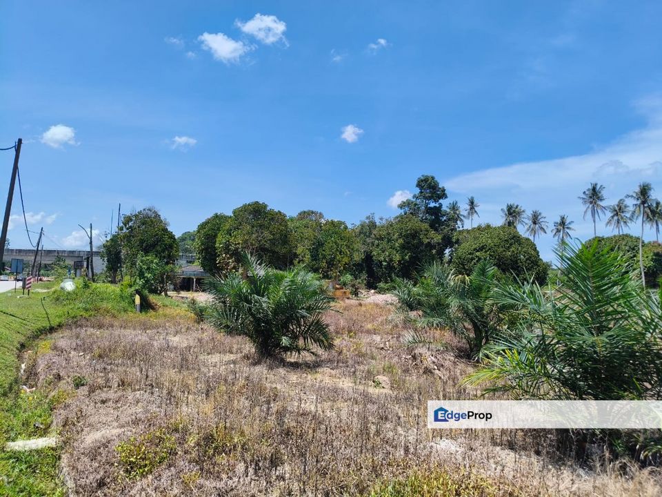 To Sale industrial land, near PTP, Tanjung Kupang, Johor, Gelang Patah