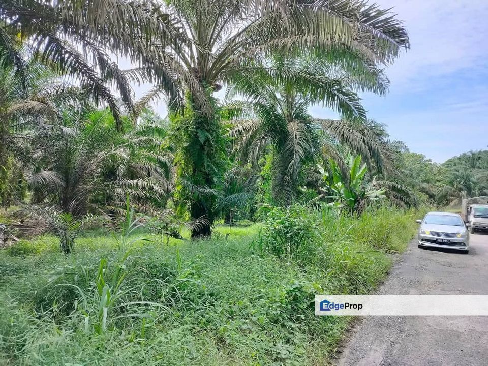 To Sale Kulai Industrial Land, kulai sri putri, Johor, Kulai