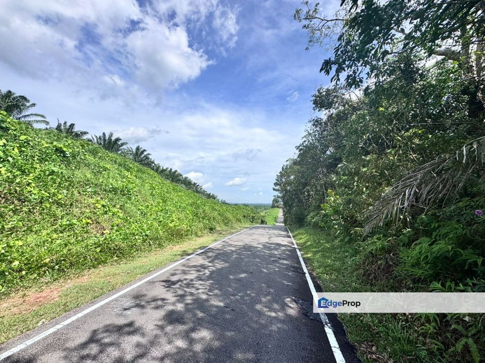 To Sale Near desaru, Jalan belungkor, johor, Johor, Kota Tinggi