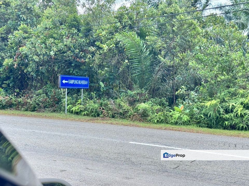 To Sale Near desaru, Jalan belungkor, johor, Johor, Kota Tinggi