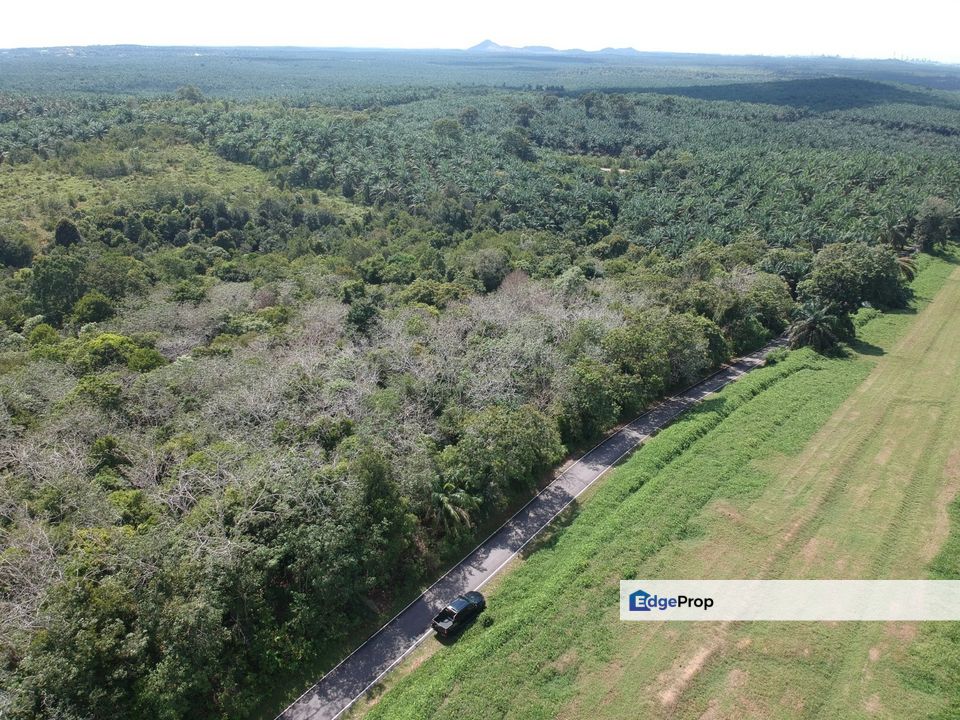 To Sale Near desaru, Jalan belungkor, johor, Johor, Kota Tinggi