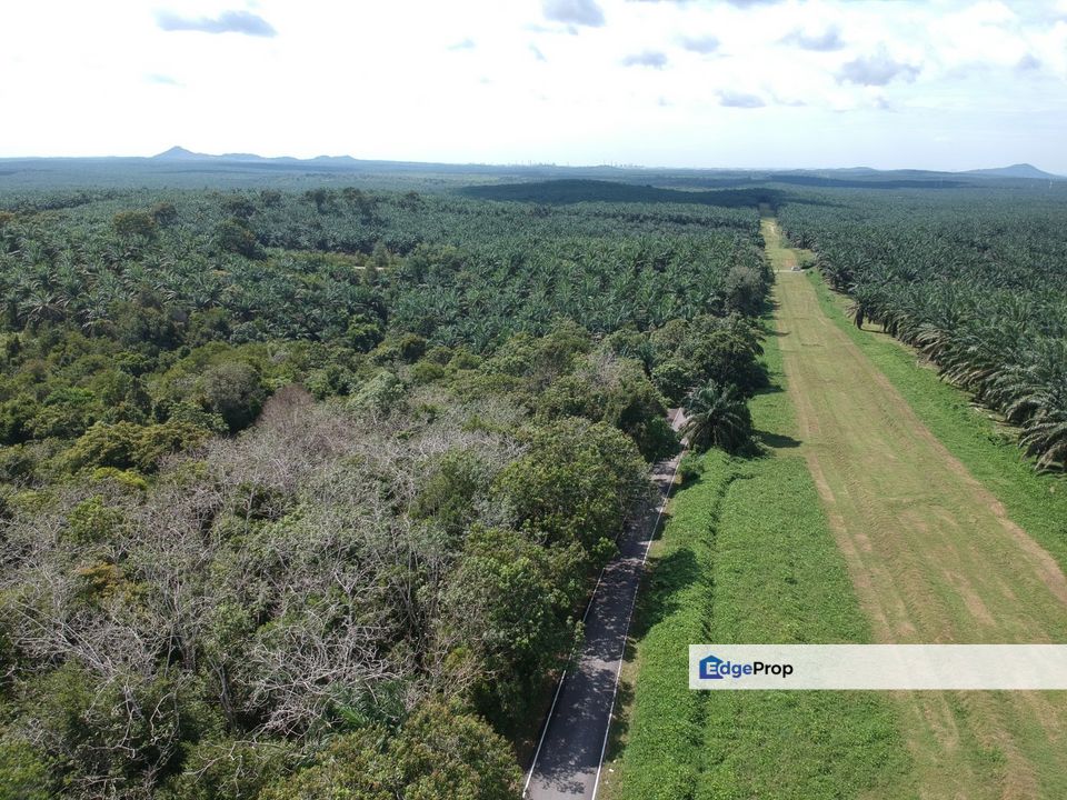 To Sale Near desaru, Jalan belungkor, johor, Johor, Kota Tinggi