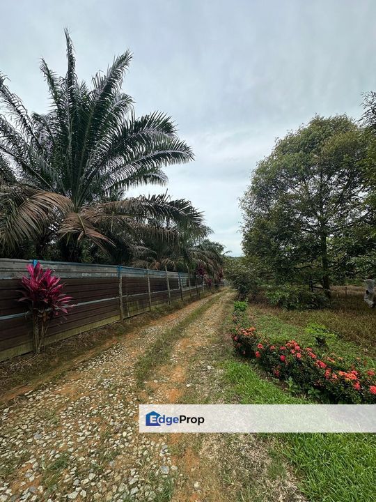 To Sale Sedenak , Agriculture land, Johor, Kulai