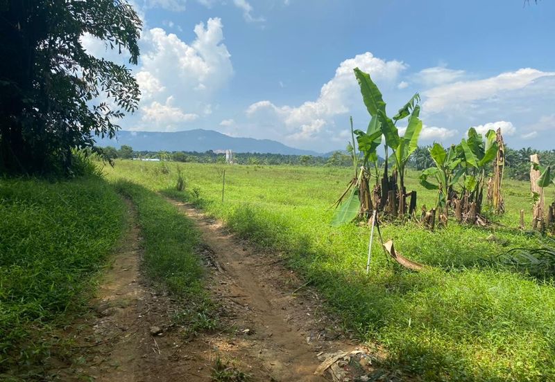 For Sale Mukim bukit batu agricultural land
