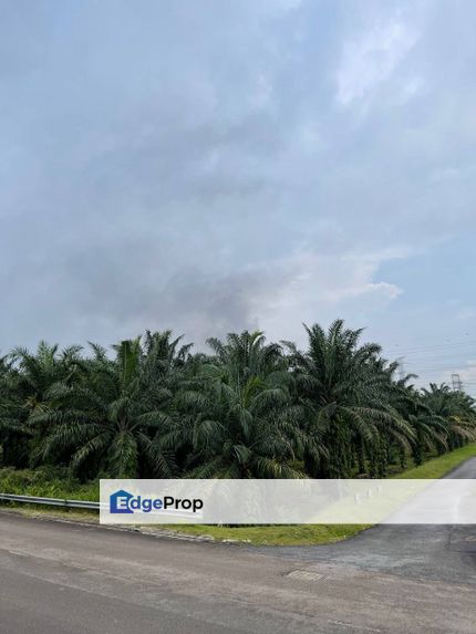 land for sale gelang patah, Johor, Nusajaya