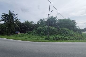 UNTUK DI JUAL {FREEHOLD} TANAH PERTANIAN KAMPUNG SUNGAI BUAYA BANTING
