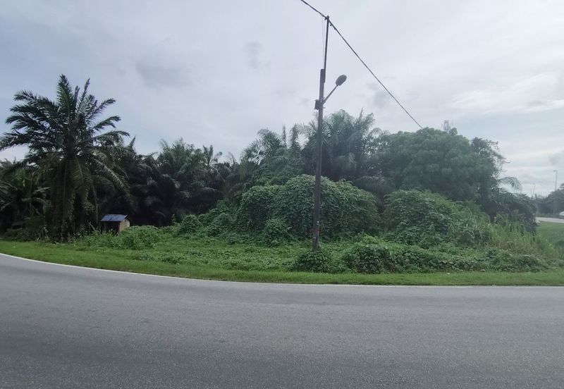 UNTUK DI JUAL {FREEHOLD} TANAH PERTANIAN KAMPUNG SUNGAI BUAYA BANTING