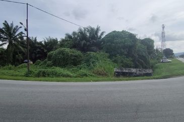 UNTUK DI JUAL {FREEHOLD} TANAH PERTANIAN KAMPUNG SUNGAI BUAYA BANTING