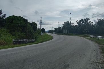 UNTUK DI JUAL {FREEHOLD} TANAH PERTANIAN KAMPUNG SUNGAI BUAYA BANTING