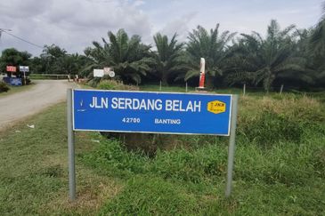 UNTUK DI JUAL {FREEHOLD} TANAH PERTANIAN KAMPUNG SUNGAI BUAYA BANTING