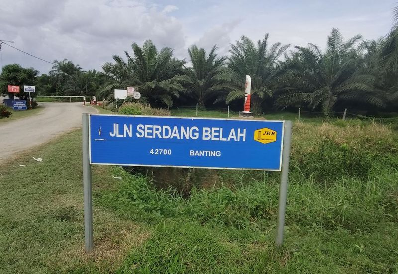 UNTUK DI JUAL {FREEHOLD} TANAH PERTANIAN KAMPUNG SUNGAI BUAYA BANTING