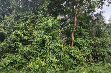 Kampung Jenderam Hulu