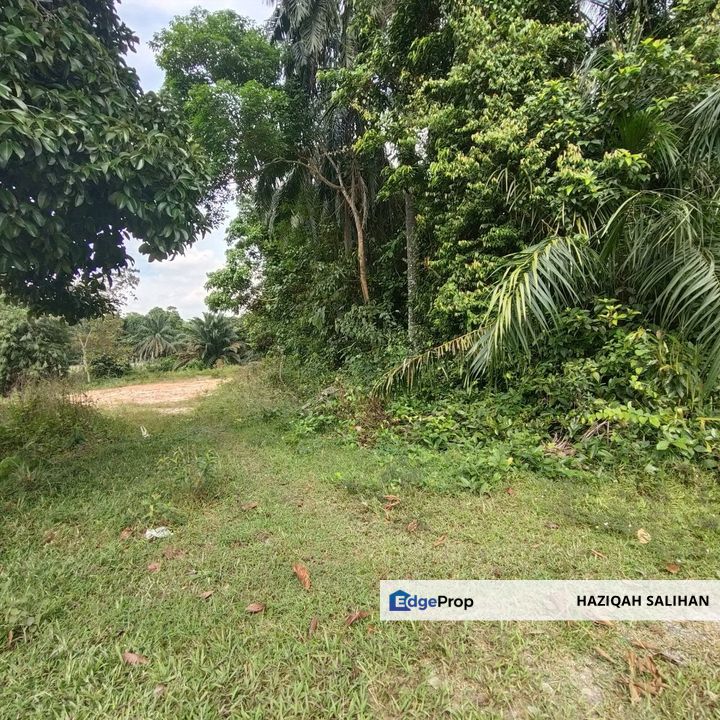 UNTUK DI JUAL {FREEHOLD} TANAH PERTANIAN Kampung Jenderam Hulu Sepang, Selangor, Sepang