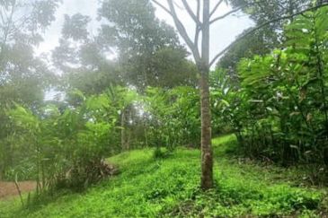 FOR SALE Agricultural Land Pangsun Hulu Langat Selangor