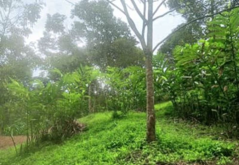 FOR SALE Agricultural Land Pangsun Hulu Langat Selangor
