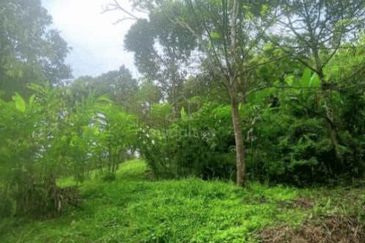 FOR SALE Agricultural Land Pangsun Hulu Langat Selangor