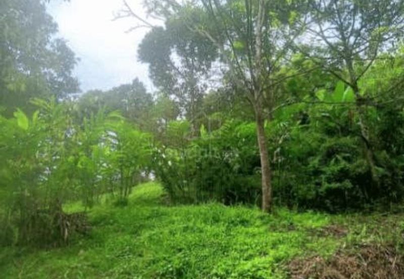 FOR SALE Agricultural Land Pangsun Hulu Langat Selangor