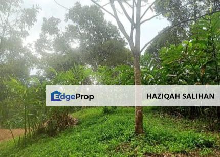 FOR SALE Agricultural Land Pangsun Hulu Langat Selangor, Selangor, Hulu Langat