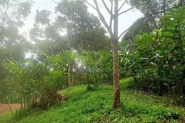 FOR SALE Agricultural Land Pangsun Hulu Langat Selangor