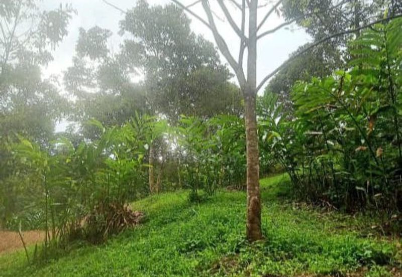 FOR SALE Agricultural Land Pangsun Hulu Langat Selangor
