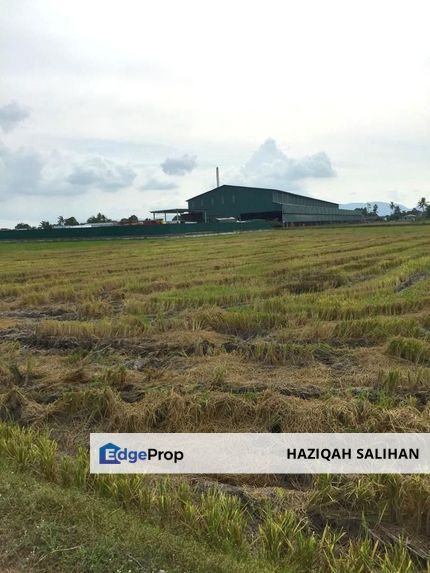FOR SALE Agricultural Land Permatang Tok Gelam Penaga Penang, Penang, Penaga