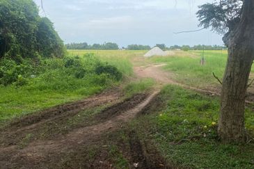 FOR SALE Agricultural Land Jalan Penaga Penang