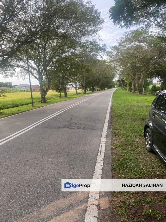 FOR SALE Agricultural Land Jalan Penaga Penang, Penang, Penaga