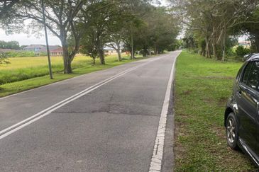 FOR SALE Agricultural Land Jalan Penaga Penang