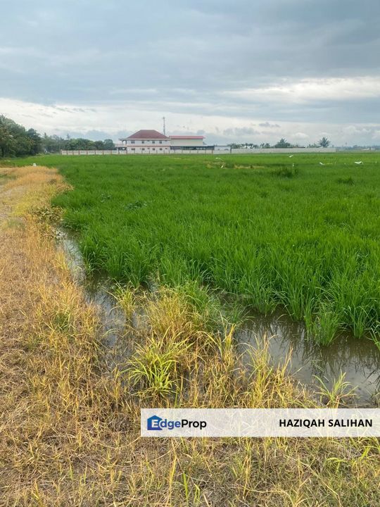 FOR SALE Agricultural Land Jalan Penaga Penang, Penang, Penaga