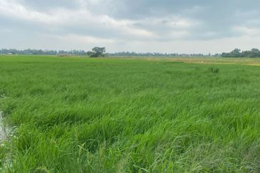 FOR SALE Agricultural Land Jalan Penaga Penang