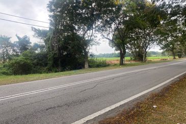 FOR SALE Agricultural Land Jalan Penaga Penang