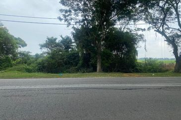 FOR SALE Agricultural Land Jalan Penaga Penang