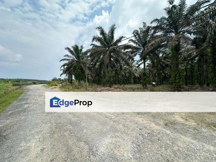 Agriculture Land For Sale @ sengkang kulai beside star fish leisure farm , Johor, Johor Bahru