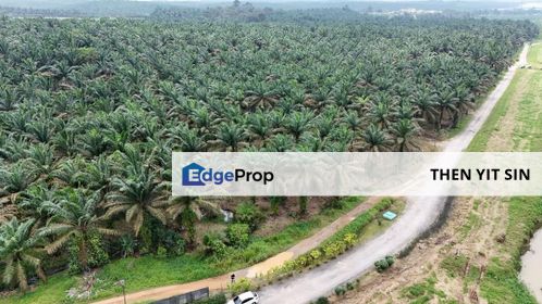 For Sale Kulai Sengkang Agricultural Land @ Besides Star Fish Leisure Farm @ Electric & Water & Car reachable, Johor, Kulai