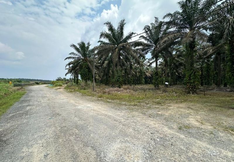 For Sale Kulai Sengkang Agricultural Land @ Besides Star Fish Leisure Farm @ Electric & Water & Car reachable