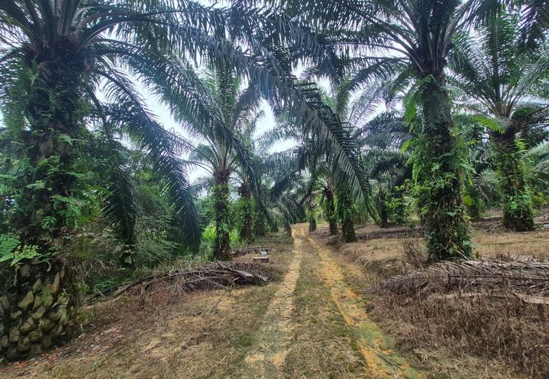 Kulai Land For Sale @ near Indahpura New Dev. Zone Toll Airport Mall