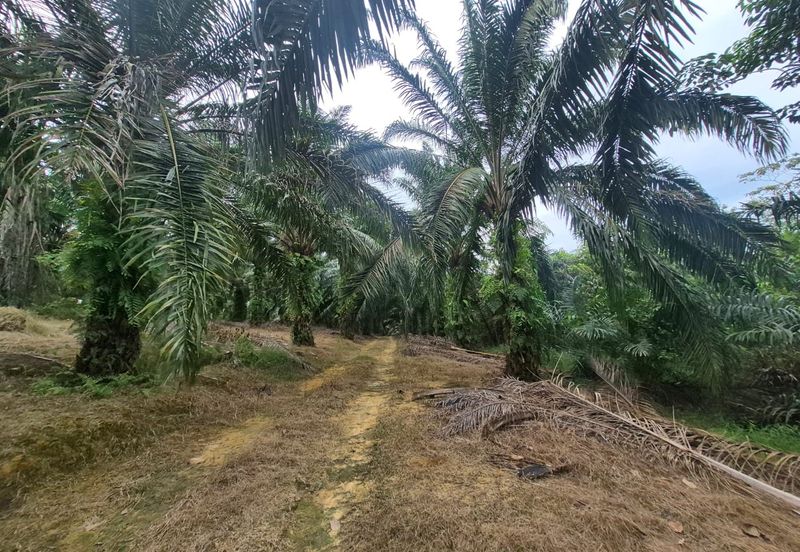 Kulai Land For Sale @ near Indahpura New Dev. Zone Toll Airport Mall