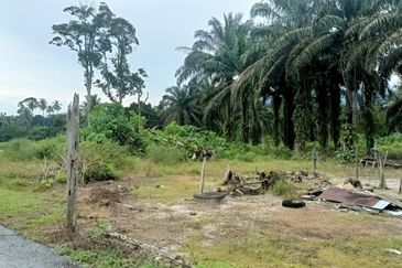 For Sale Agricultural Land (Residential Zoning)